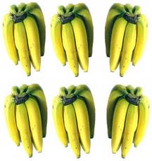Bananen-6x6.jpg
